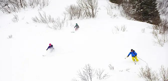 neu Freeriden in Warth Schroecken Freeride