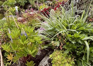 Herbal workshop at the culture room & Stuba shop