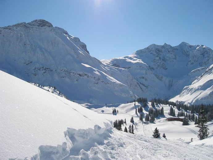 Falkenkopf Winter