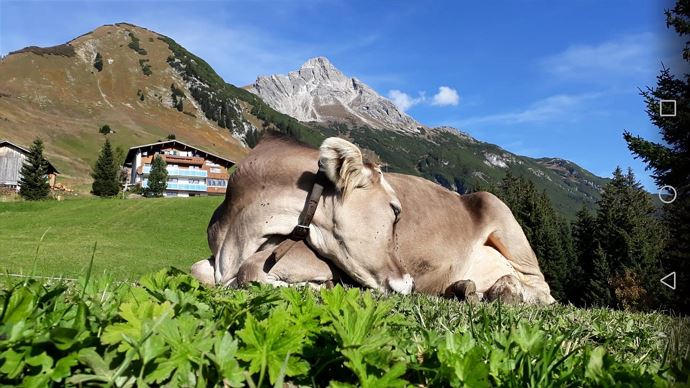 Einfach mal die Sonne genießen
