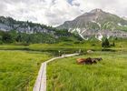 Naturjuwel Körbersee (c) Warth-Schröcken Tourismus